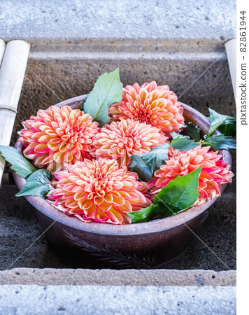 秋花長祖屋 82861944