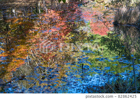 Autumn leaves reflected on the water 82862425