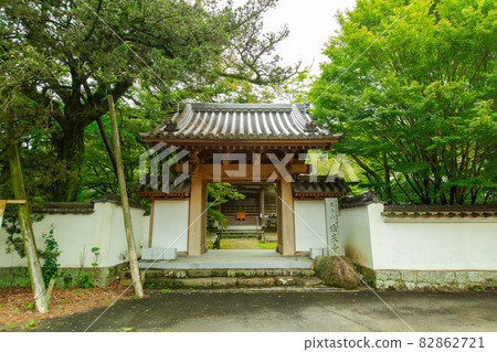 綠意盎然的法善寺 綠意盎然的法善寺 82862721