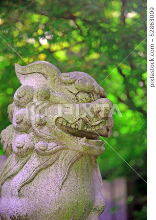 Shibasaki Hachimangu Shrine Shibasaki Hachimangu Shrine 82863009