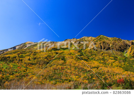 北阿爾卑斯津蓋自然庭園的紅葉徒步 高蓮日山 北阿爾卑斯津蓋自然庭園的紅葉徒步 高蓮日山 82863086
