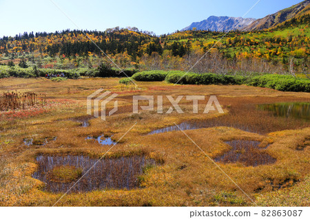 北阿爾卑斯山津蓋自然庭園的秋葉徒步旅行 北阿爾卑斯山津蓋自然庭園的秋葉徒步旅行 82863087