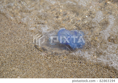 jellyfish on the sandy seashore 82863194