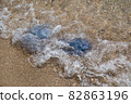 jellyfish on the sandy seashore 82863196