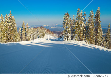 Empty ski slope in the forest, Poiana Brasov, Carpathians, Romania 82863247