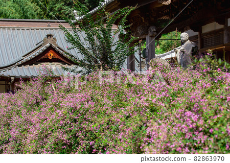 萩寺 西明寺 萩寺 西明寺 82863970