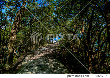 Yashima Kitamine Yuzuru-tei Observatory 82864793