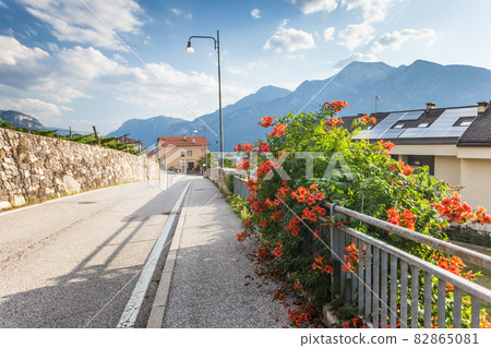 Rural road in suborb of Trento, Alps on background, solar panels on a roof, flowers of Chinese trumpet vine Rural road in suborb of Trento, Alps on background, solar panels on a roof, flowers of Chinese trumpet vine 82865081