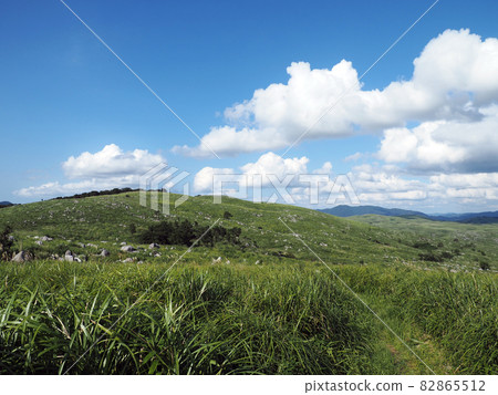 Karst Plateau of Akiyoshidai Karst Plateau of Akiyoshidai 82865512