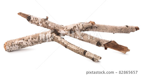 Trunks of a birch 82865657