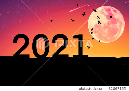 2021 new year concept with birds flying and full moon on sunset sky background. 82867165