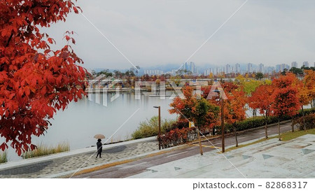 A walking path colored with autumn leaves A walking path colored with autumn leaves 82868317