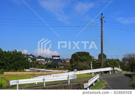 Scenery with a power line where birds stop << Atsugi City >> Scenery with a power line where birds stop << Atsugi City >> 82868508
