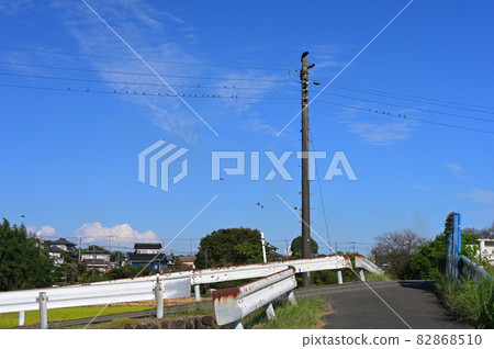 Scenery with a power line where birds stop << Atsugi City >> Scenery with a power line where birds stop << Atsugi City >> 82868510