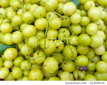 tasty and healthy star gooseberry stock on shop for sell tasty and healthy star gooseberry stock on shop for sell 82868619