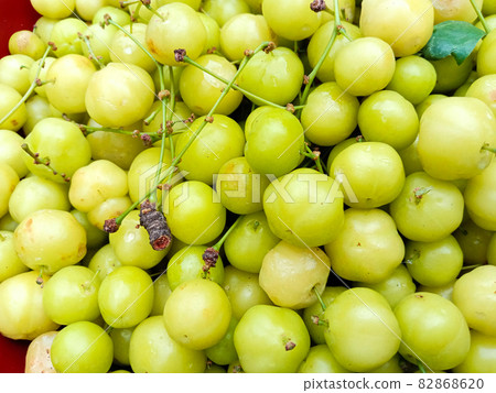 tasty and healthy star gooseberry stock on shop for sell 82868620