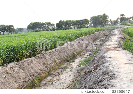 waterway channels earth canal view on field for water passing 82868647