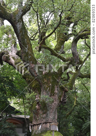 熱田神社 熱田神社 82869333