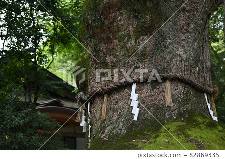 熱田神社 熱田神社 82869335