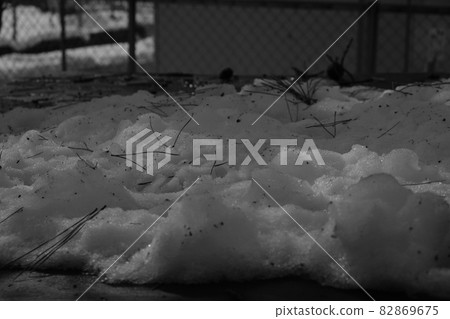 2021 Winter trip to Uozu 15 82869675