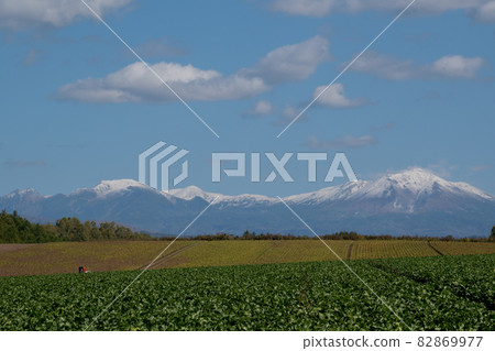 Autumn fields and snow-capped mountains Daisetsuzan 82869977