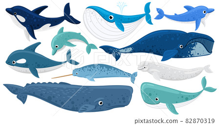 Cartoon underwater mammals, dolphin, beluga whale, orca, sperm whale. Marine animals, humpback whale, narwhal, killer whale vector illustration set. Underwater fauna whales 82870319