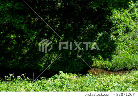 Scenery with a stream flowing through a satoyama in early summer Scenery with a stream flowing through a satoyama in early summer 82871267