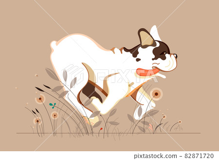 Nice French bulldog is running on the grass sticking his tongue out. Modern flat. 82871720