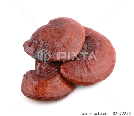 Ganoderma Lucidum Mushroom isolated on white background Ganoderma Lucidum Mushroom isolated on white background 82872250