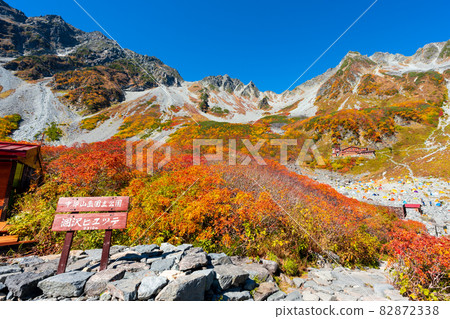 Fukuzawa curl autumn leaves 82872338