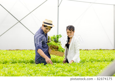 Asian farmer couple work in hydroponic vegetable greenhouse farm with happiness and joyful in row of plants background Asian farmer couple work in hydroponic vegetable greenhouse farm with happiness and joyful in row of plants background 82874175