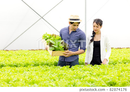 Asian farmer couple work in hydroponic vegetable greenhouse farm with happiness and joyful in row of plants background Asian farmer couple work in hydroponic vegetable greenhouse farm with happiness and joyful in row of plants background 82874176