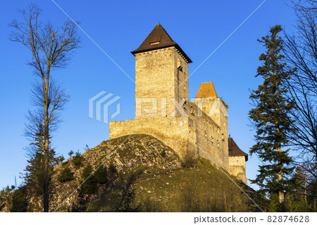 Kasperk castle in Sumava, Czech Republic Kasperk castle in Sumava, Czech Republic 82874628