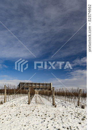 Winter landscape near Popice, Southern Moravia, Czech Republic Winter landscape near Popice, Southern Moravia, Czech Republic 82874662