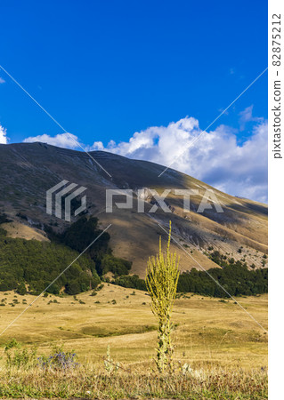 National Park of Abruzzo near Barrea, Lazio and Molis, Italy National Park of Abruzzo near Barrea, Lazio and Molis, Italy 82875212