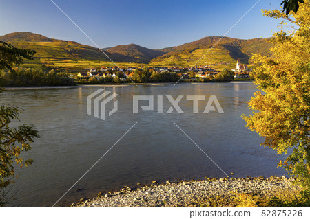 autumn vineyard and Spitz in Wachau region, Austria autumn vineyard and Spitz in Wachau region, Austria 82875226