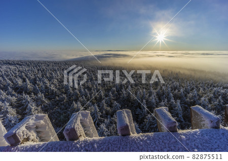 Winter landscape near Velka Destna, Orlicke mountains, Eastern Bohemia, Czech Republic 82875511