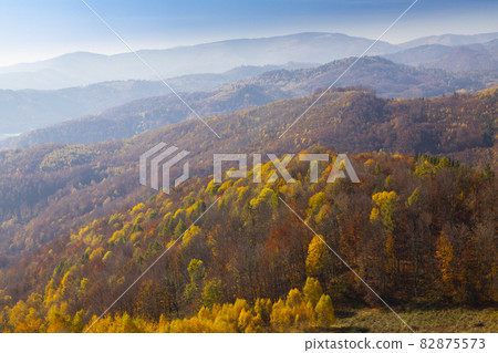 National Park Slovensky Raj in Slovakia 82875573