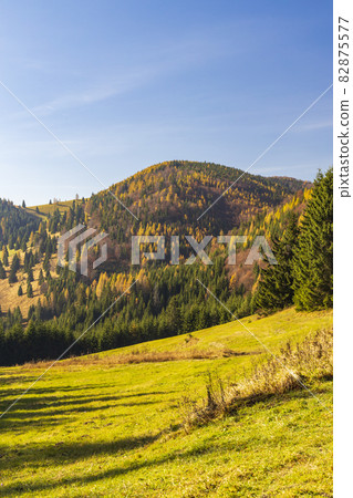 Kopanecke luky in National Park Slovensky Raj, Slovakia 82875577