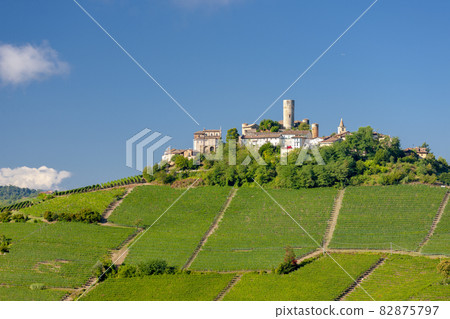 Castle and village Castiglione Falletto, Piemonte, Italy 82875797