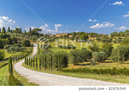 Typical Tuscan landscape near Montepulciano and Monticchielo, Italy 82876340