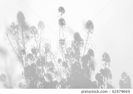 Shadow overlay effects for branding. Mockups. Scenes of natural lighting. Light Gray shadows grass and flowers on a white wall. Banner with copy space 82879669