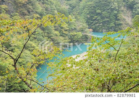 靜岡縣川之本町風景名勝墨俁峽的初秋（雨） 82879981