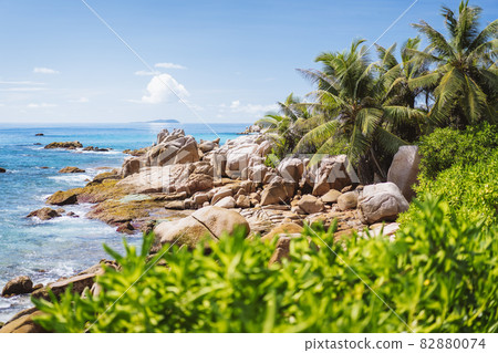 La Digue, Seychelles. Tropical exotic paradise like beach with granite boulders and coconut palm trees 82880074