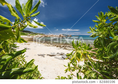 Tropical beach at La Digue island, Seychelles. Lush green vegetation on white sand paradise beach. Turquoise blue lagoon and unique granite rock formation in background Tropical beach at La Digue island, Seychelles. Lush green vegetation on white sand paradise beach. Turquoise blue lagoon and unique granite rock formation in background 82880106