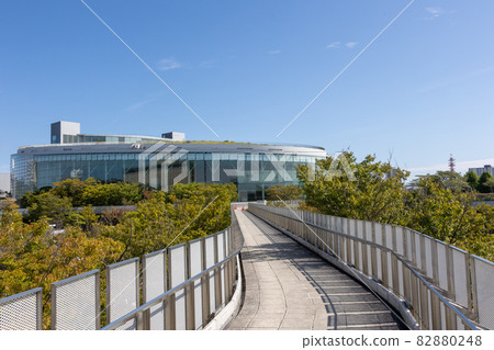 白山公園空中走廊 新潟市 白山公園空中走廊 新潟市 82880248