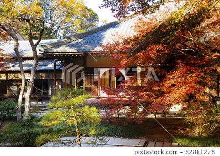 名月院本堂後花園 82881228