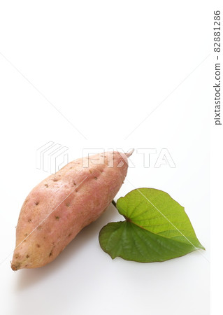 Sweet potato (Anno potato, vertical composition) Sweet potato (Anno potato, vertical composition) 82881286