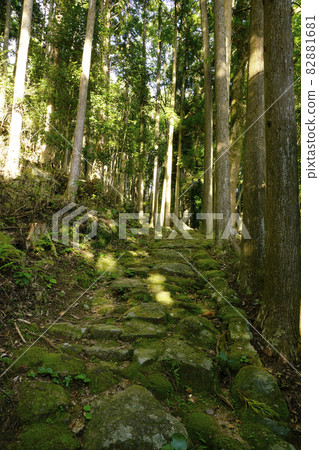 Kumano Kodo Road over Matsumoto Pass 82881681