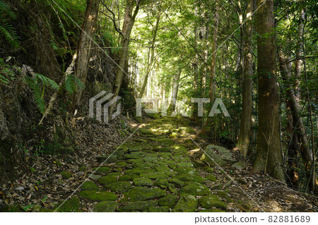 Kumano Kodo Road over Matsumoto Pass 82881689